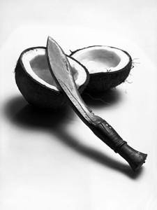 Kokosnusslikör vor der Gärung - &copy; Janko Belaj