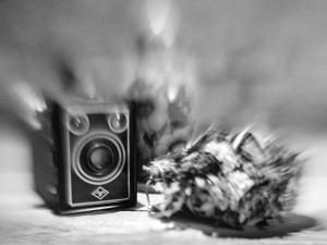 Agfa - &copy; Janko Belaj