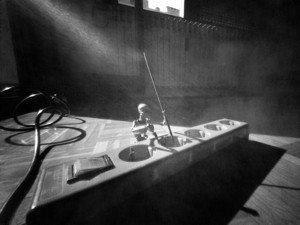 Self-fried in coldblood - &copy; Janko Belaj