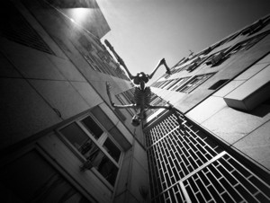 Fly, fly… - &copy; Janko Belaj