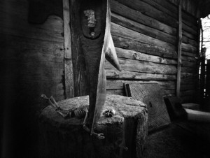 Axed - &copy; Janko Belaj