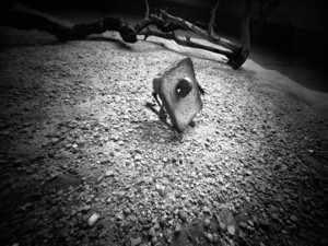 Radical diet - &copy; Janko Belaj