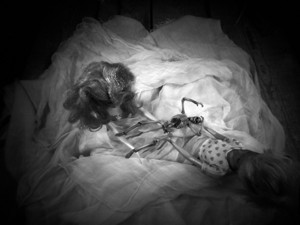 Romeo, Juliet and a cousin - &copy; Janko Belaj