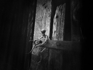 Concluded  - &copy; Janko Belaj