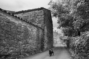 Ein Empfang in Gračišće - &copy; Janko Belaj