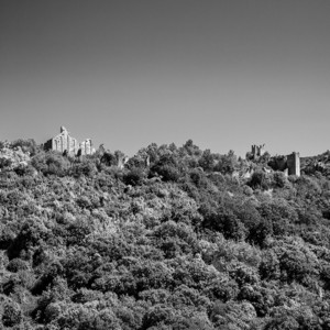 Dvigrad aus dem Wald - &copy; Janko Belaj