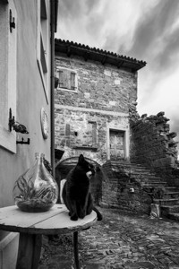 Gourmet aus Oprtlja - &copy; Janko Belaj