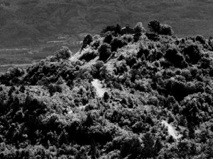 Morgenläute - &copy; Janko Belaj