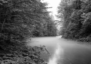 Mäander des Nebels - &copy; Janko Belaj