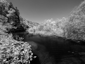 (Friedeeen…) - &copy; Janko Belaj