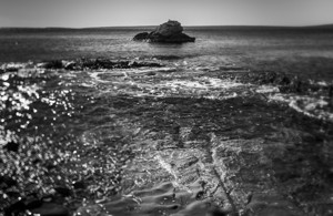 Ein Vogel auf einem Felsen - &copy; Janko Belaj