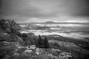 Watte - &copy; Janko Belaj