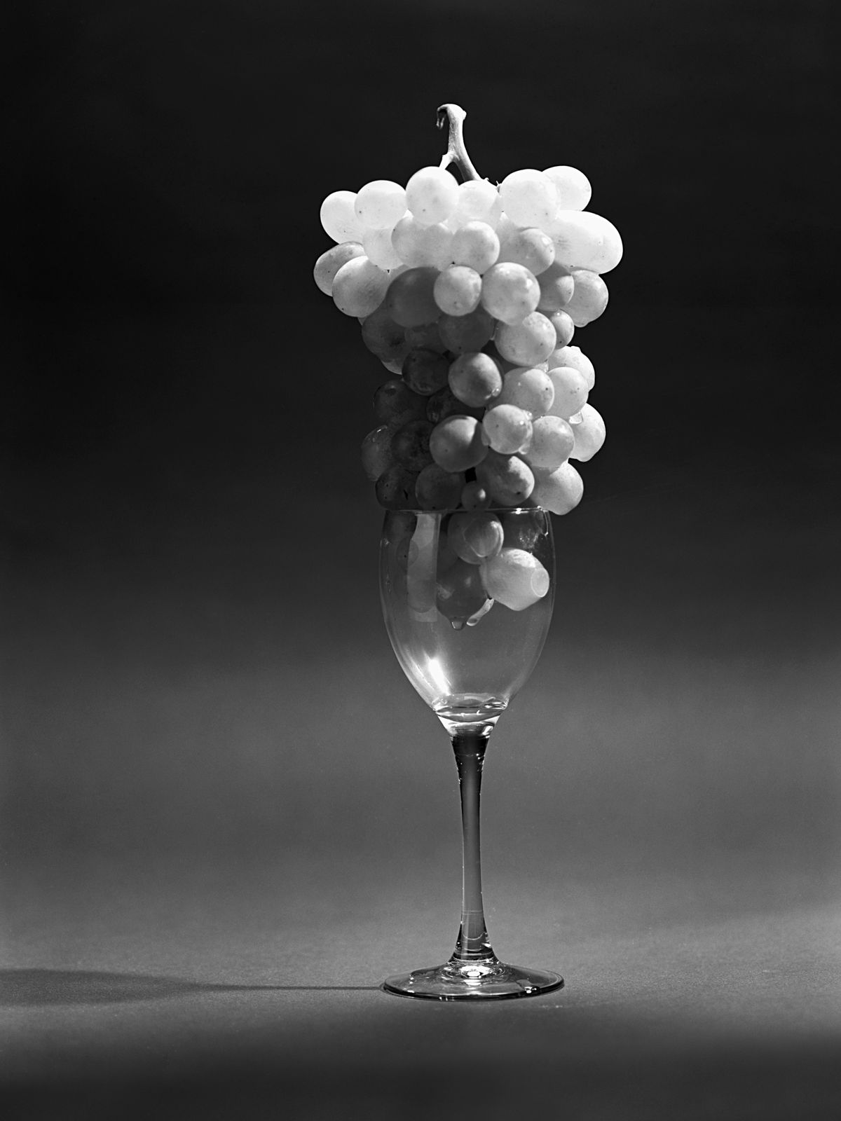 White Wine before Pressing