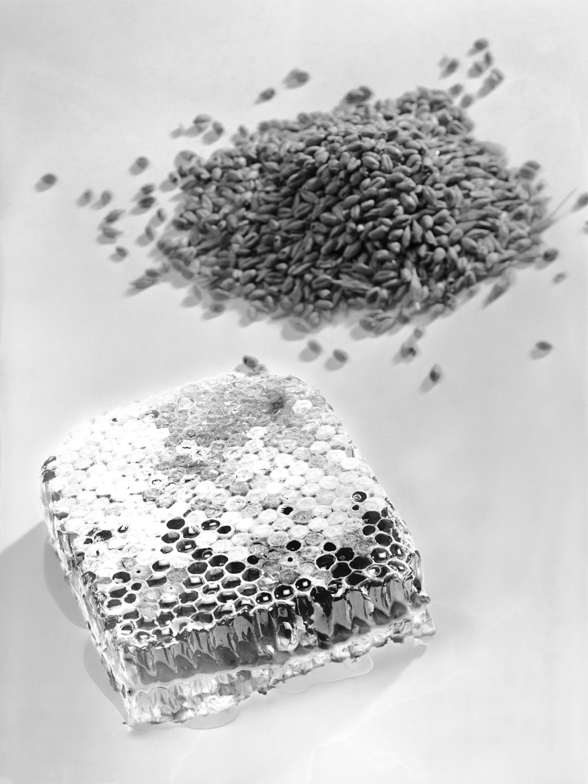 Gingerbread before Mixing