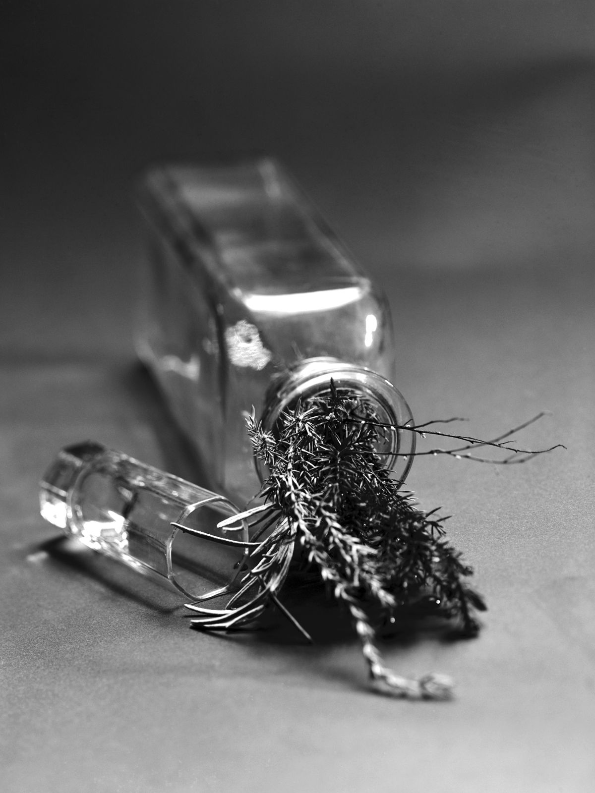 Herbal Brandy before Alcohol