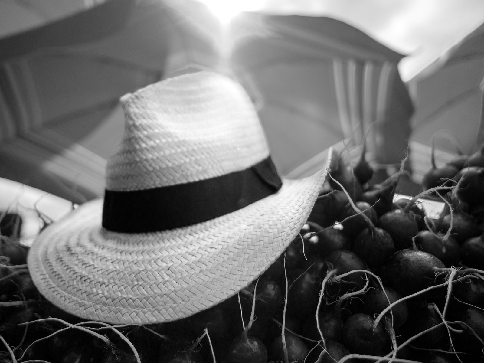 Resting in the Roots