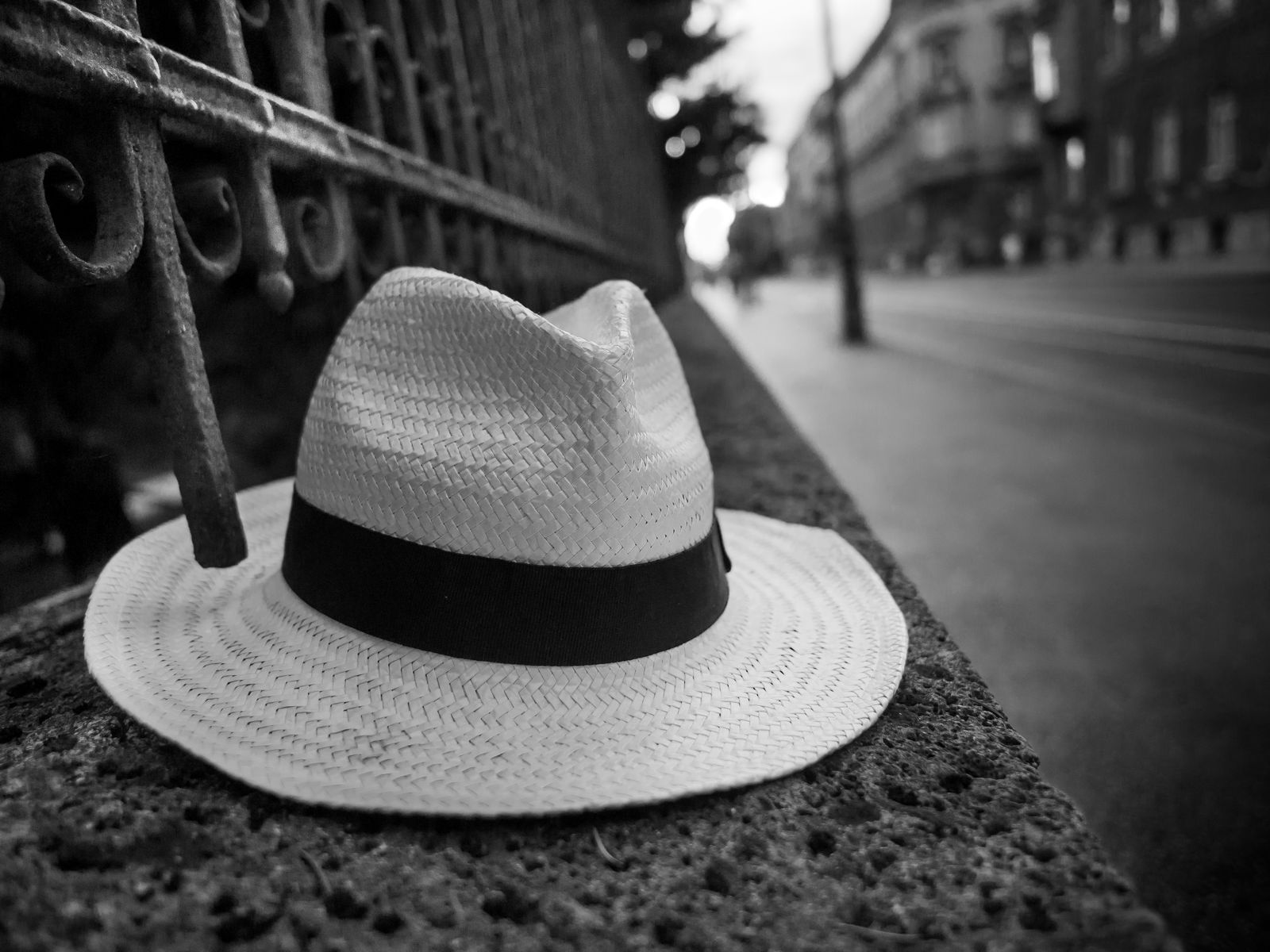 Allein unter dem Zaun