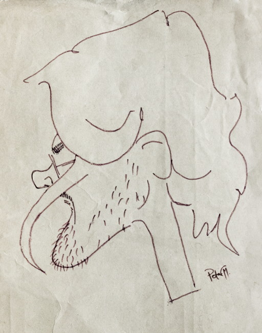 Karikatura: Petar Majić