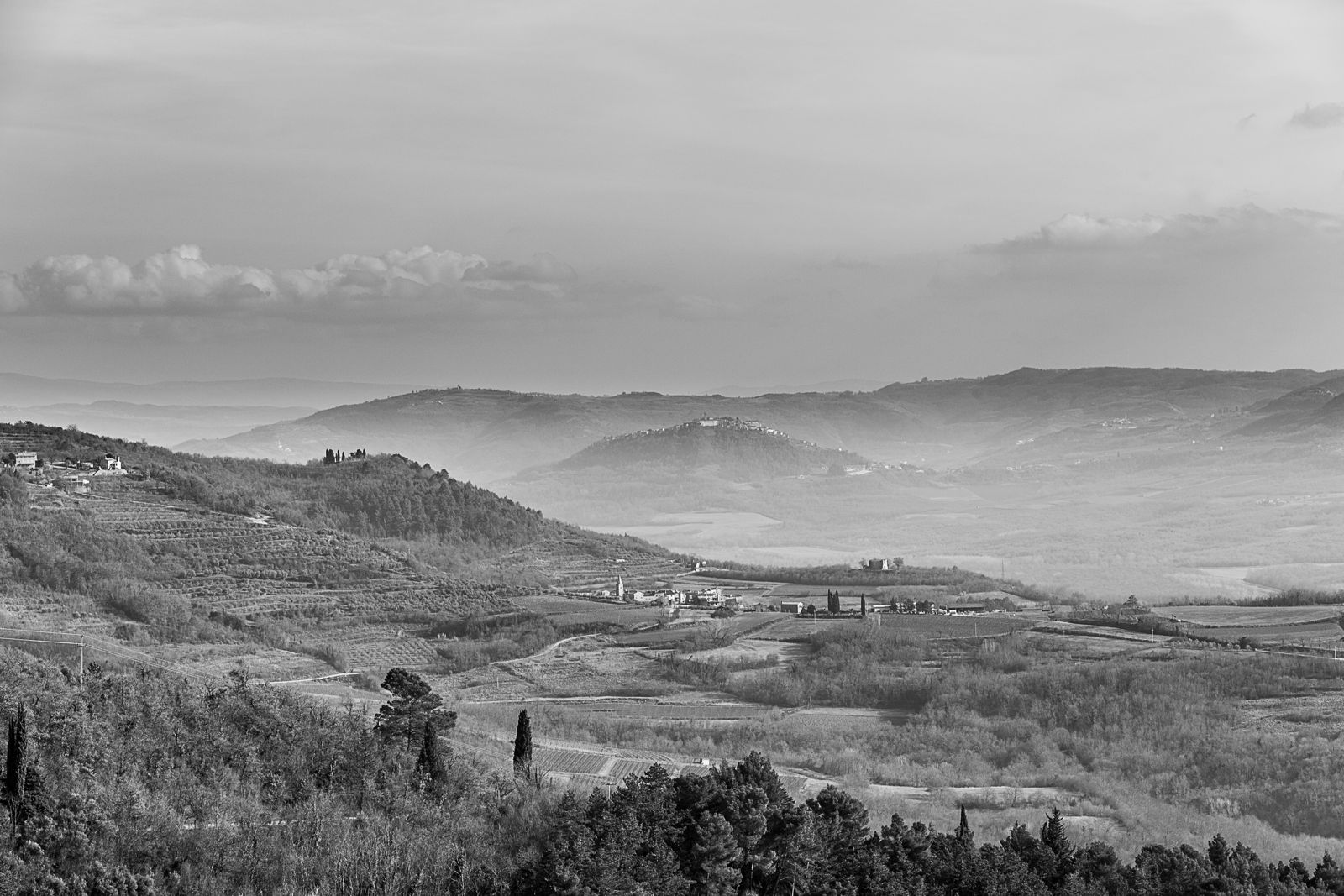 Motovun Mists
