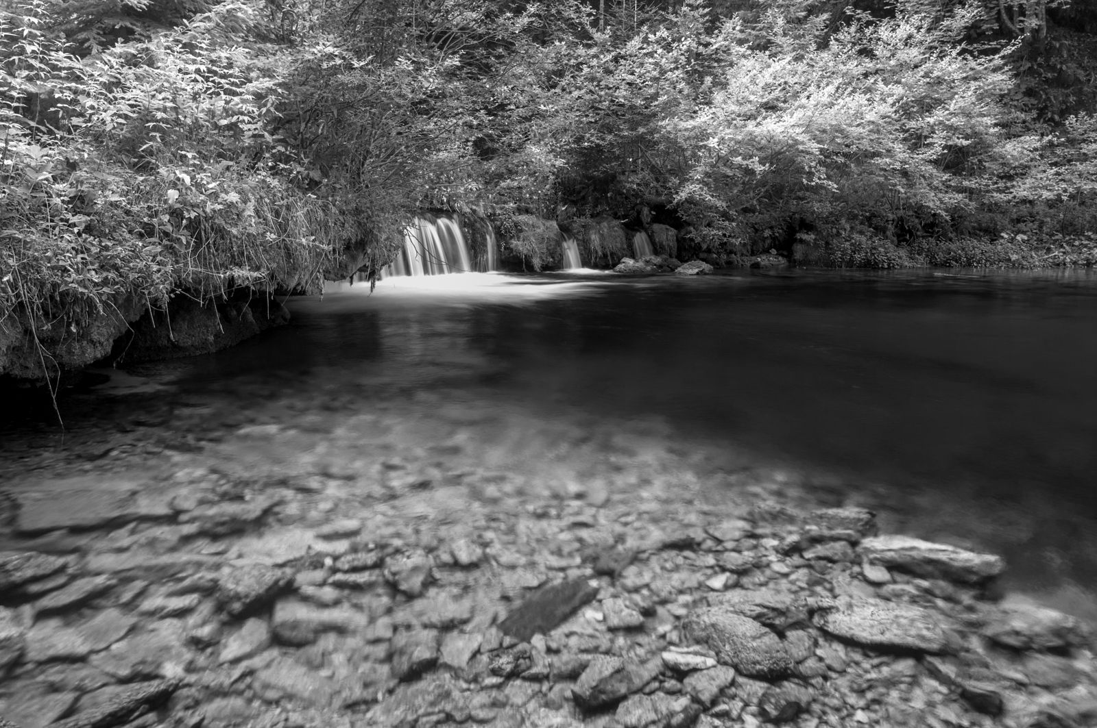 Shreds of Black River