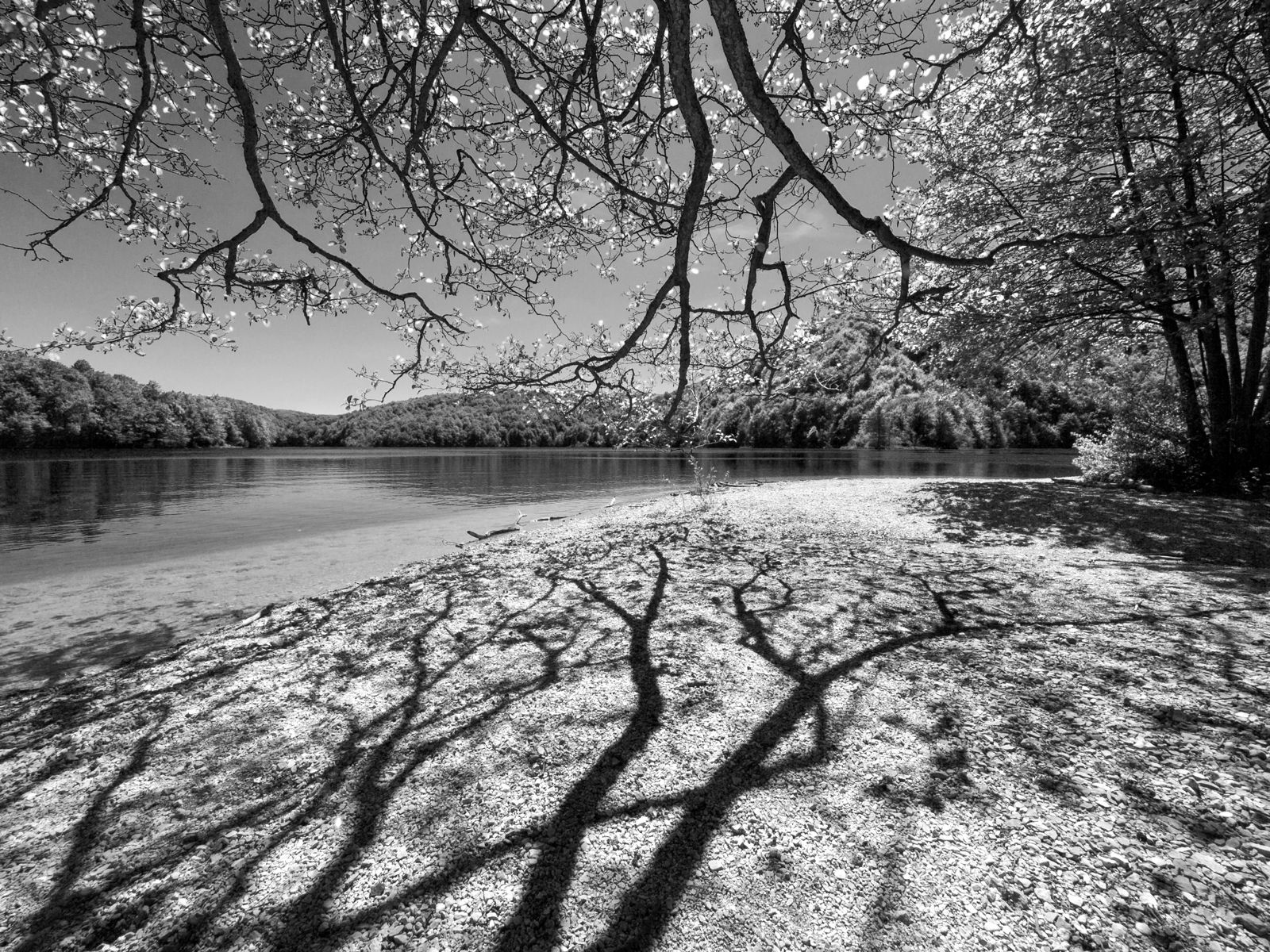 Plitvicka čipkarica