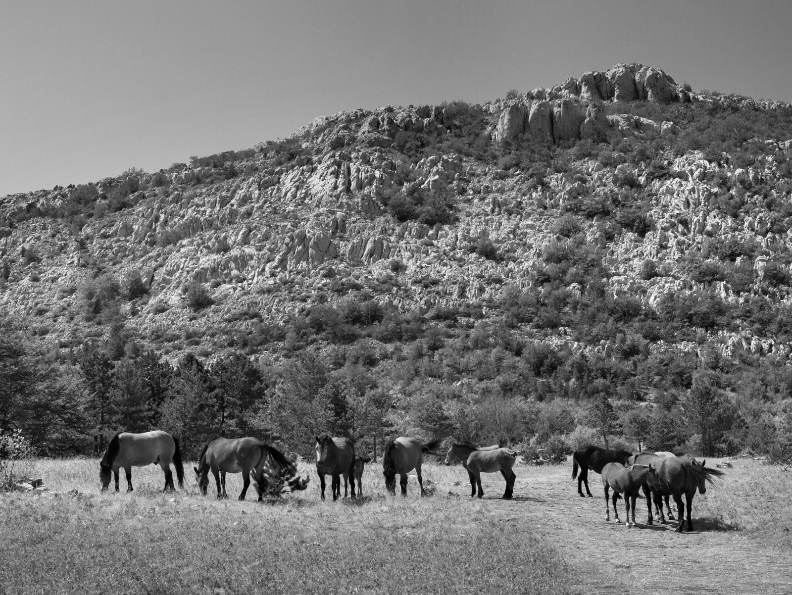 Siesta on Great Rujno