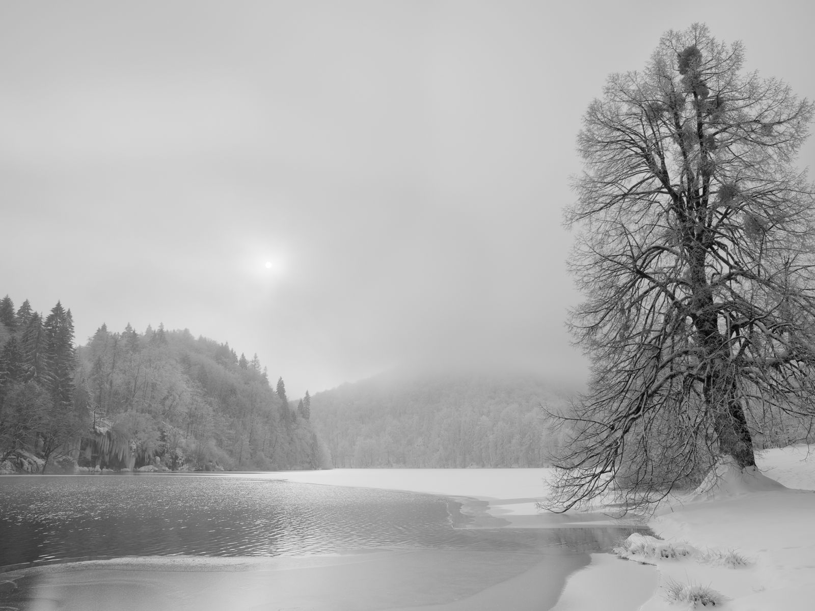 Der See vor dem Traum der Fee