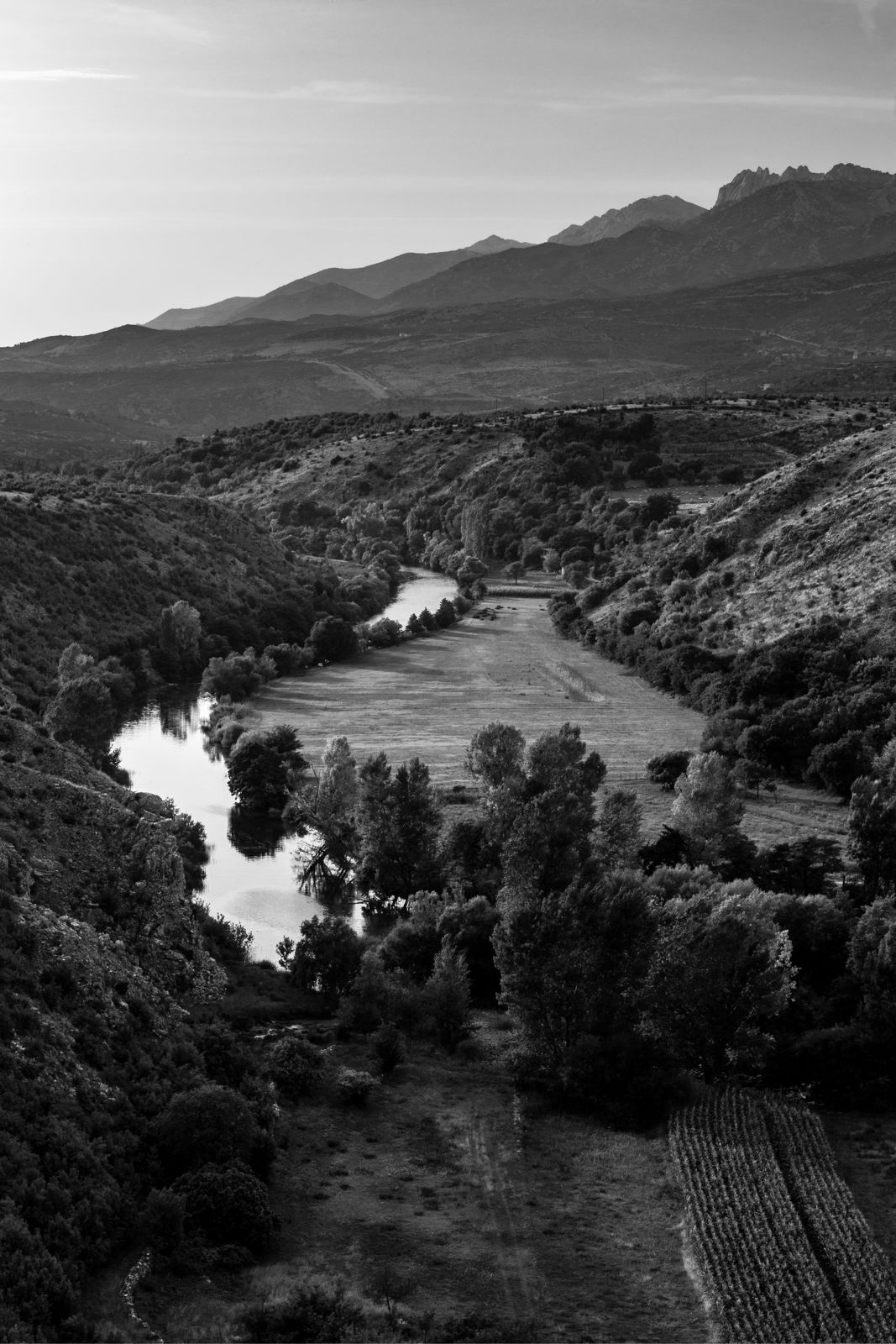 Fragments of Paradise in Stone