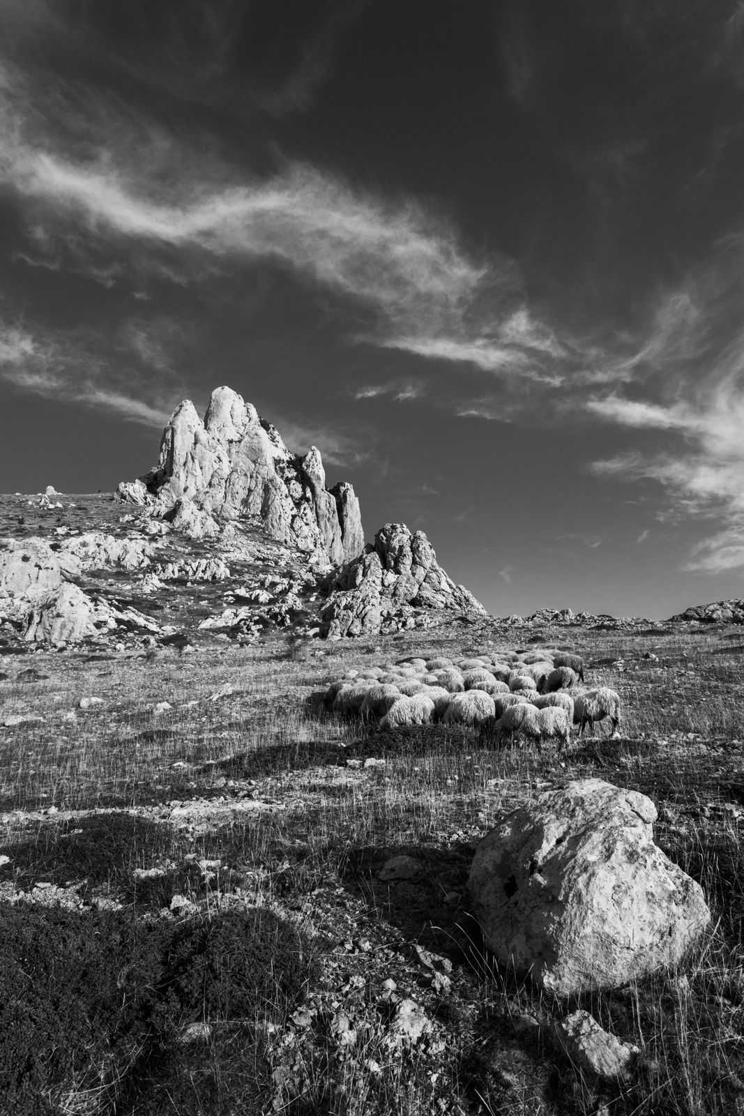 Što se bjeli u gori kamenoj?