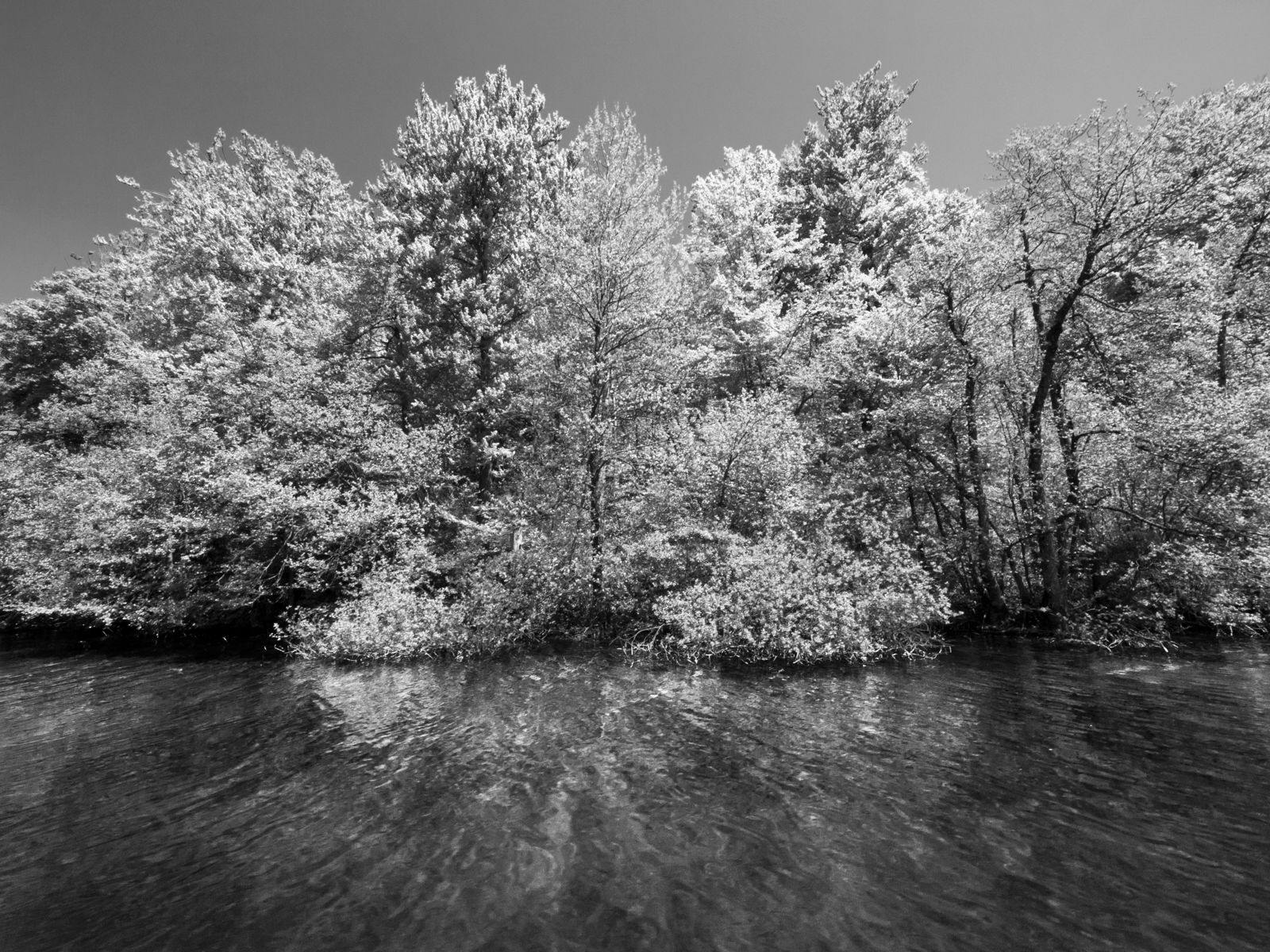 Water, spring of life